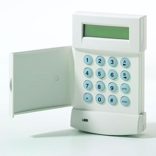 Electronic Security Systems