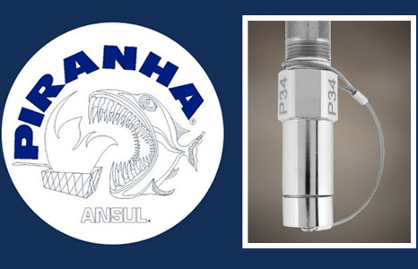 Ansul Piranha