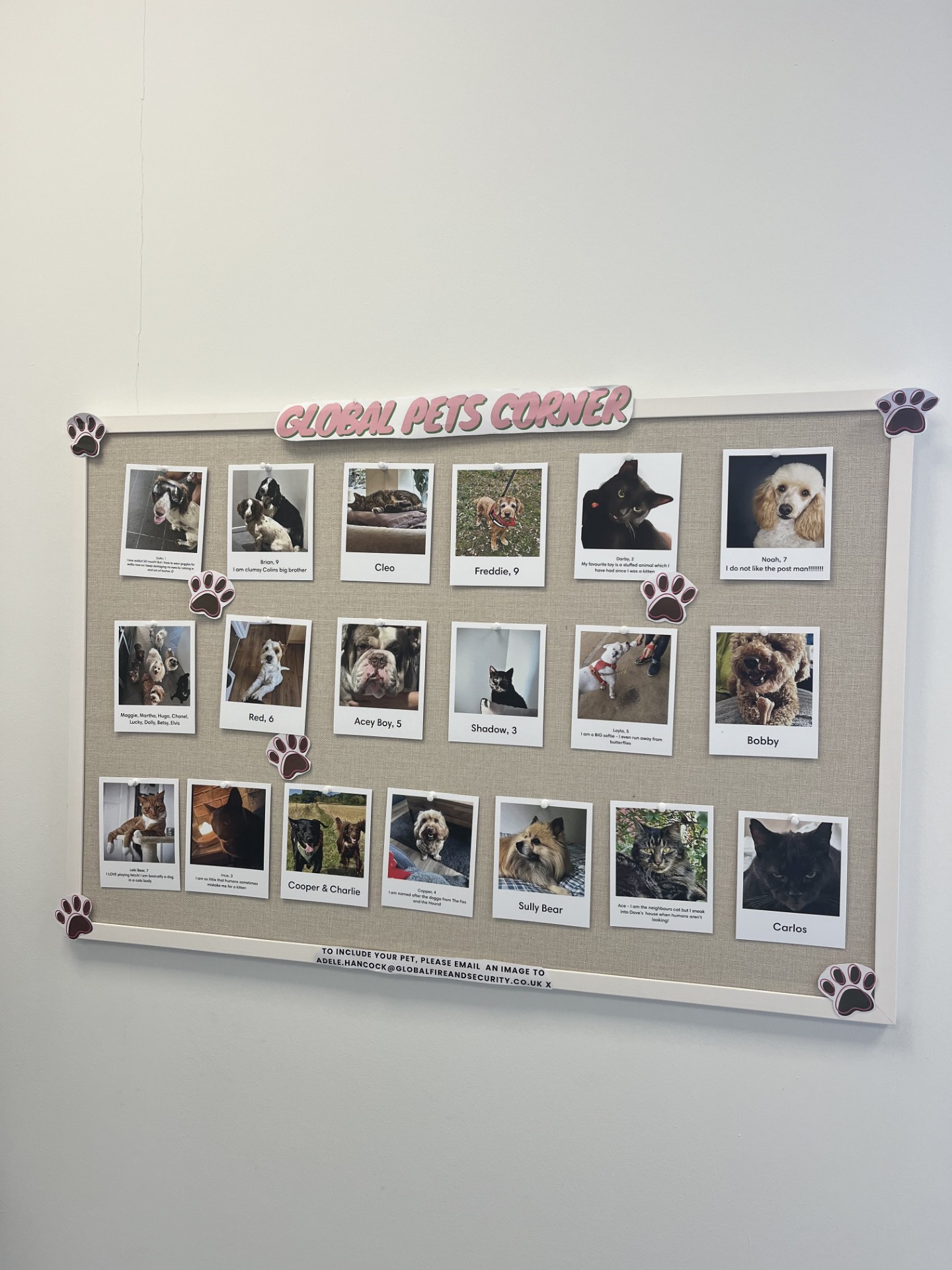  &#128204; Engaging notice board
